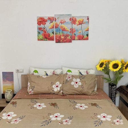 The Charming One Apartment บราชอฟ ภายนอก รูปภาพ