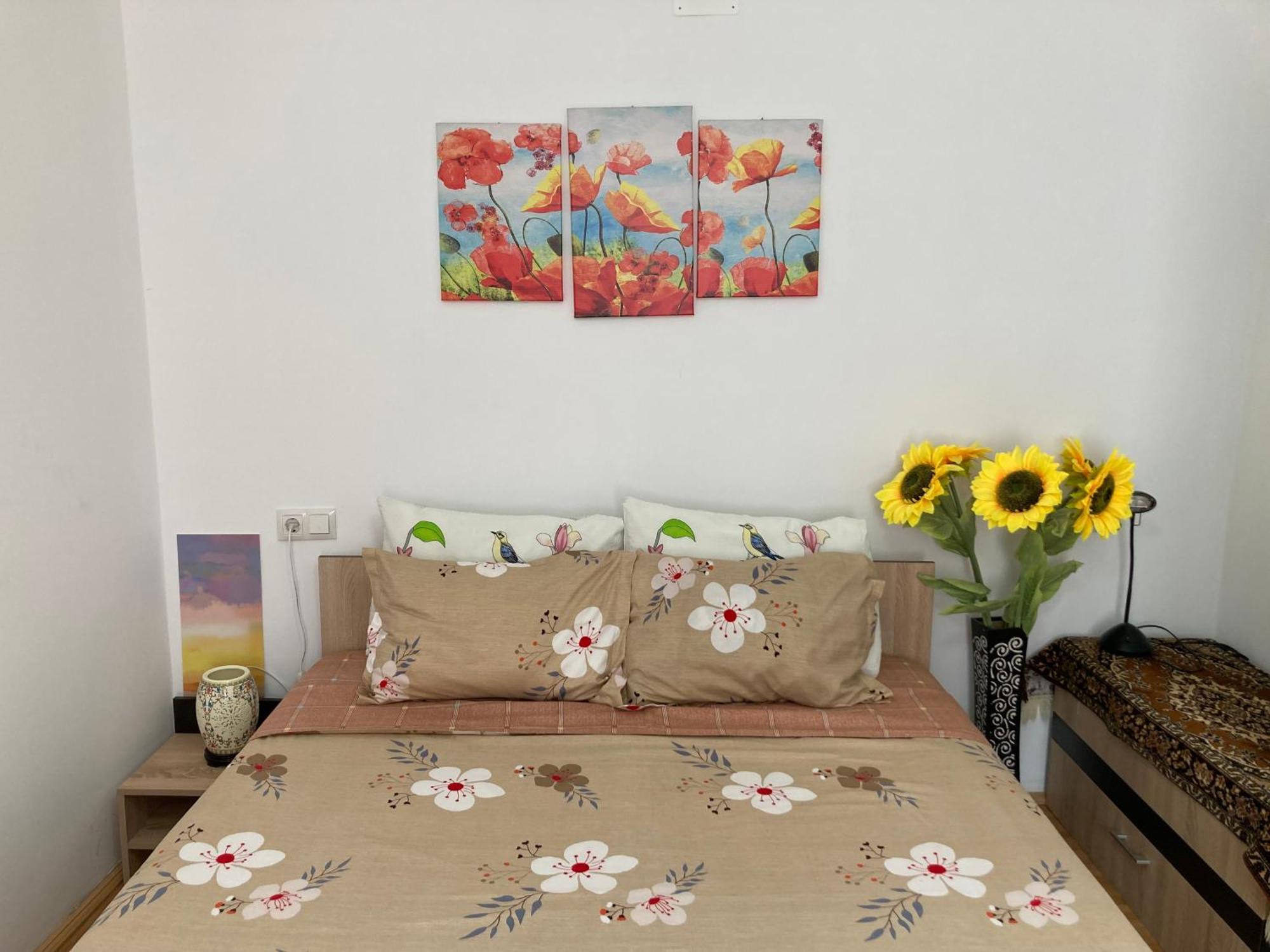 The Charming One Apartment บราชอฟ ภายนอก รูปภาพ